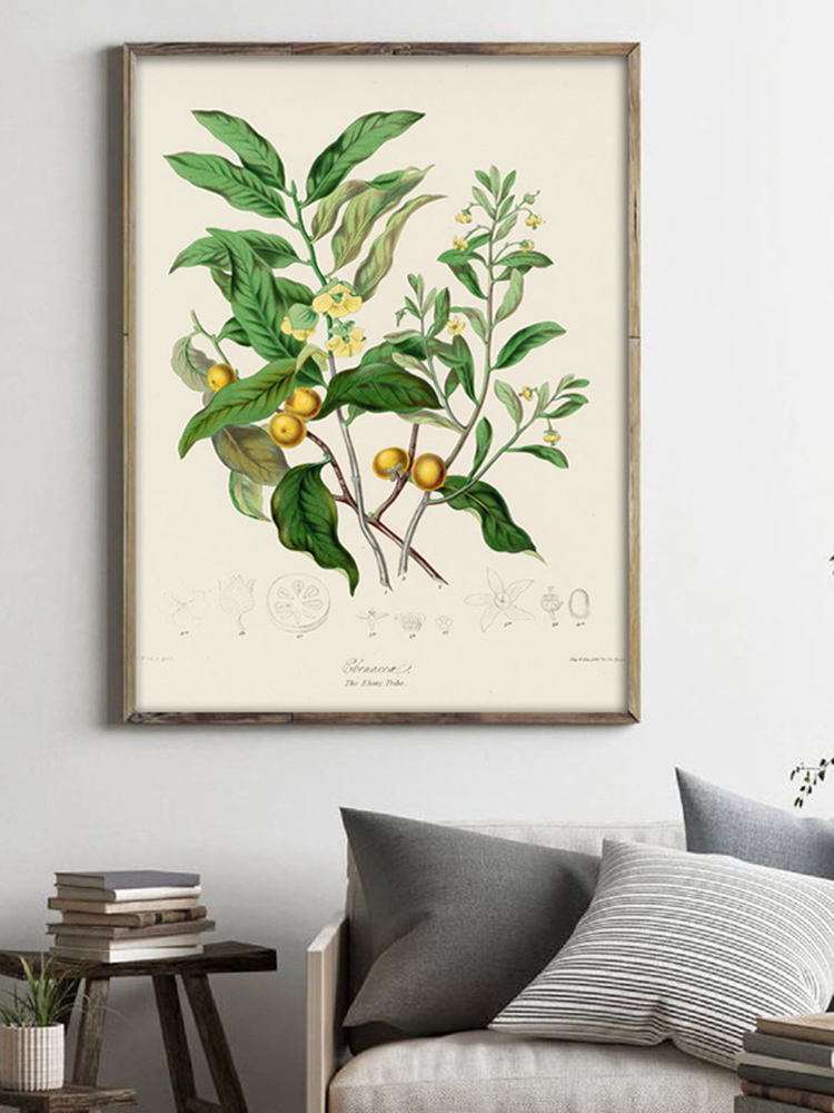 Planta herbácea arte da parede - Office Furniture York avaliação e preço